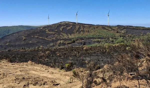 VISITA A LOS INCENDIOS