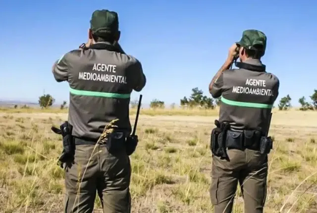 AGENTES FORESTALES